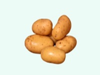 Potato