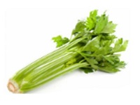Celery