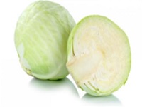White Cabbage