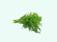 Dill