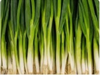 Green Onion