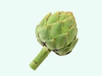 Artichaut