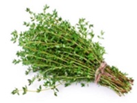 Thyme