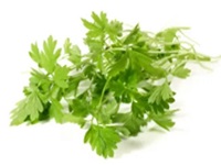 Parsley